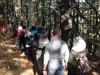 HikingTrip22Nov2016 (23)