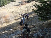 HikingTrip22Nov2016 (33)