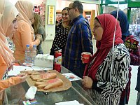 safetyRulesCampaign2017 (26)